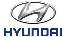 SUBFAMILIA DE HYUND  HYUNDAI