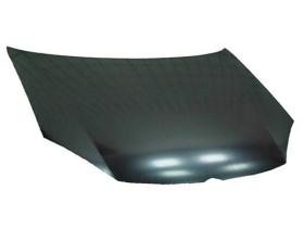 VAUNER VG5203100 - CAPO JETTA 05>