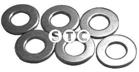 STC T402051 - JUNTA TAPON CARTER ESPECIAL CI